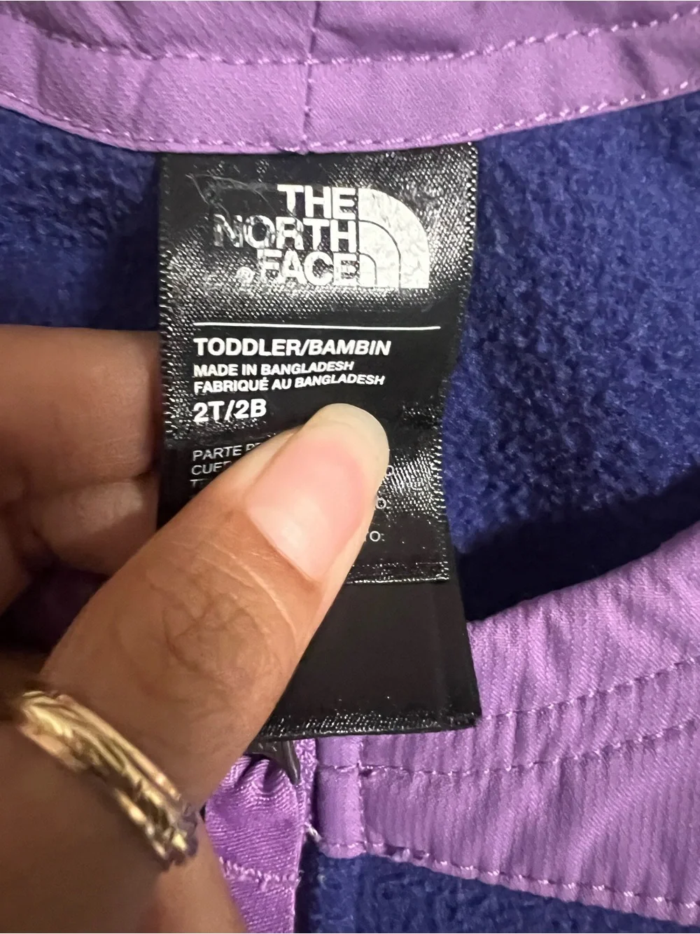 The north face ski bib